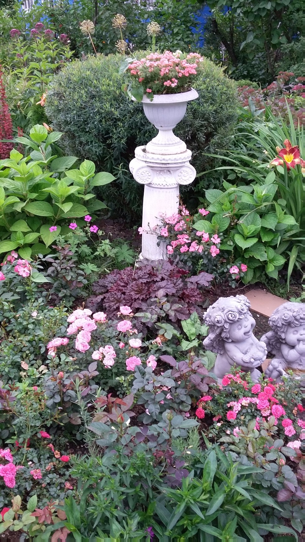 �����������