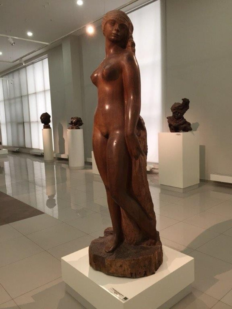 ��������������� �������� � ���� ��. �.�.���������: ����� ������ � ����� �� �������