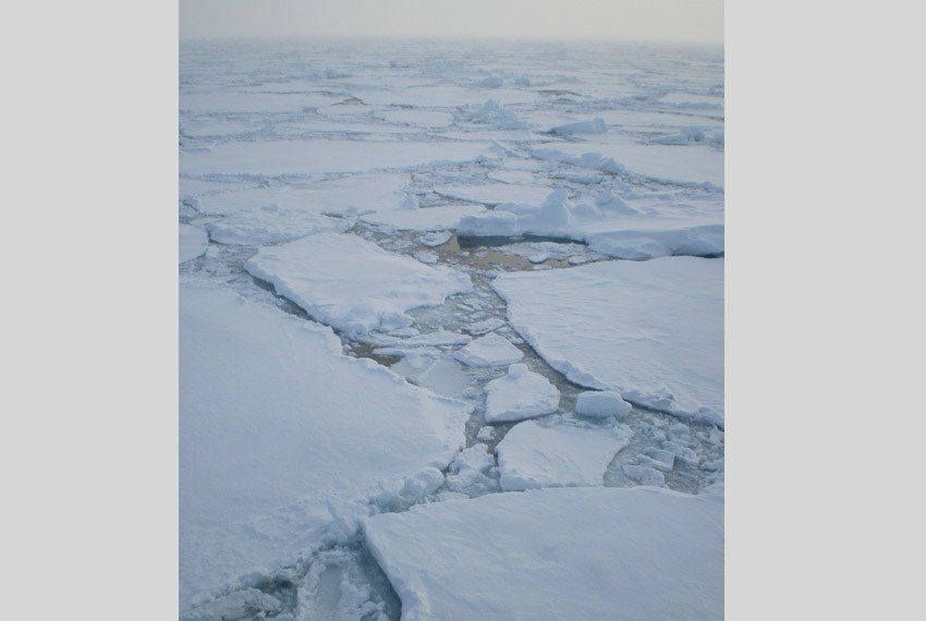 Экспедиции в высокоширотную Арктику на норвежских судах 2009-2012 (А.В.Голиков) ,экспедиция, высокоширотная, Арктика