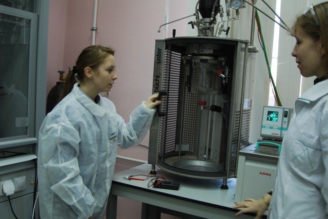 ���� ������