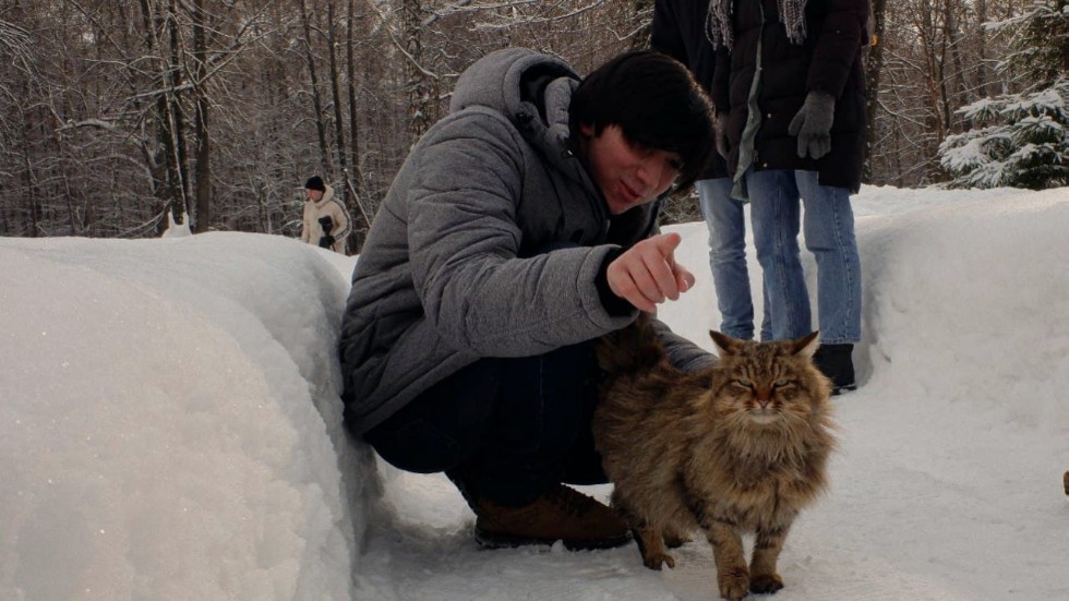 Поезд здоровья - 2021 Поезд здоровья - 2021