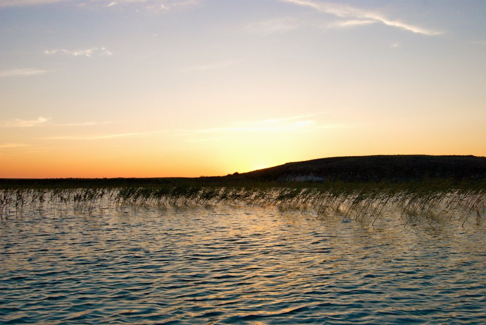 ����� ������