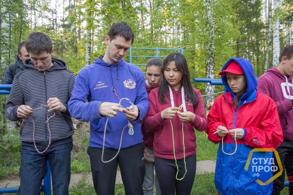 ��������� �� ������� � ������ ���������� ��������� � ���������� ��� 2015-2016 �������� ����