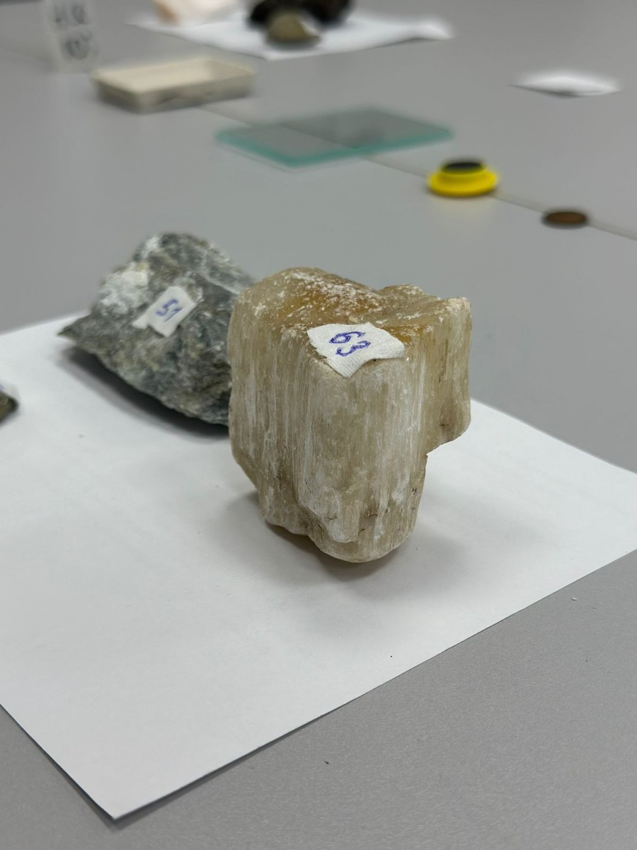 Заключительный этап предметных олимпиад КФУ в Волгограде! Заключительный этап предметных олимпиад КФУ в Волгограде!