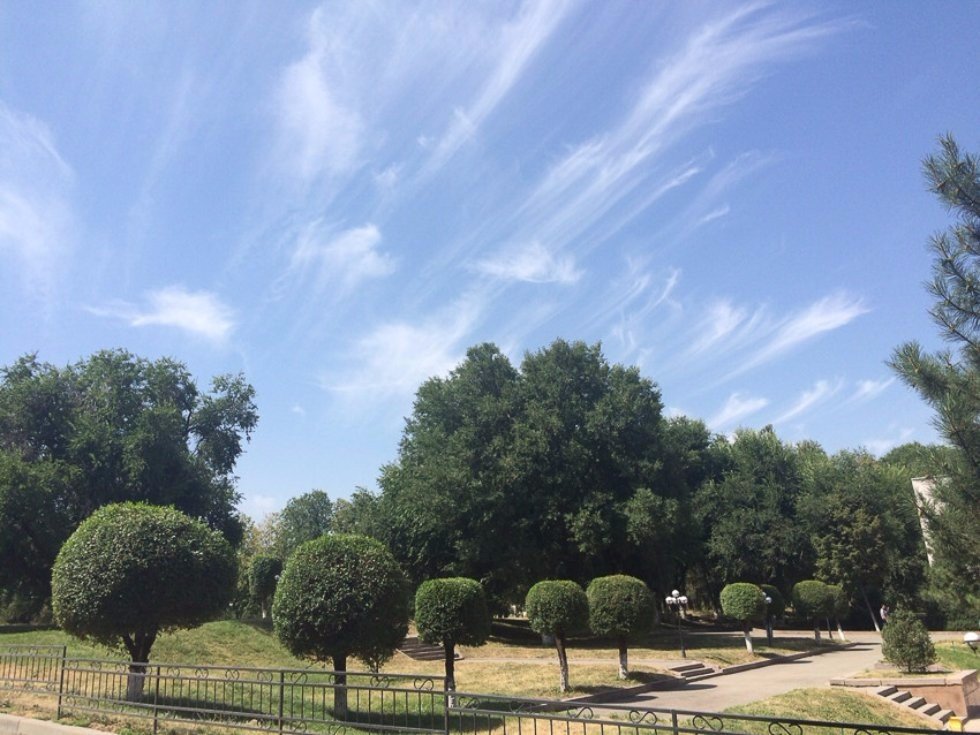 KFU Delegation will participate in XXVII International Olympiad in Informatics