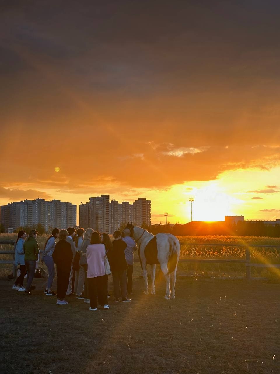 ���������� - ��� ������ ��������� �������������� ���������� ������������