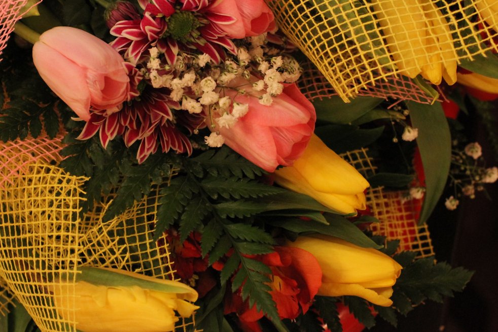 ��� ���������� � �������!