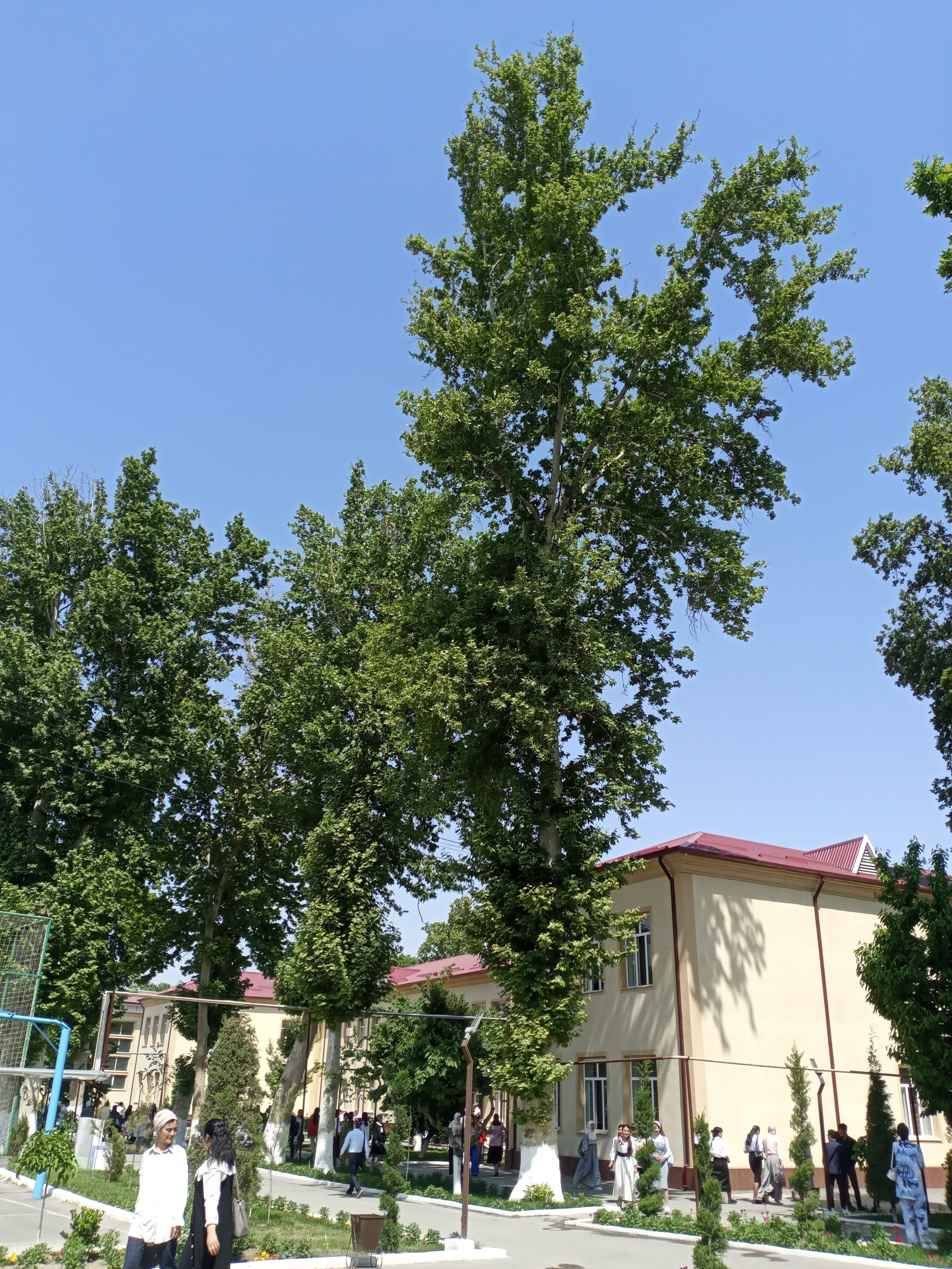 Преподаватели ИФМК КФУ посетили Ферганский государственный университет Преподаватели ИФМК КФУ посетили Ферганский государственный университет