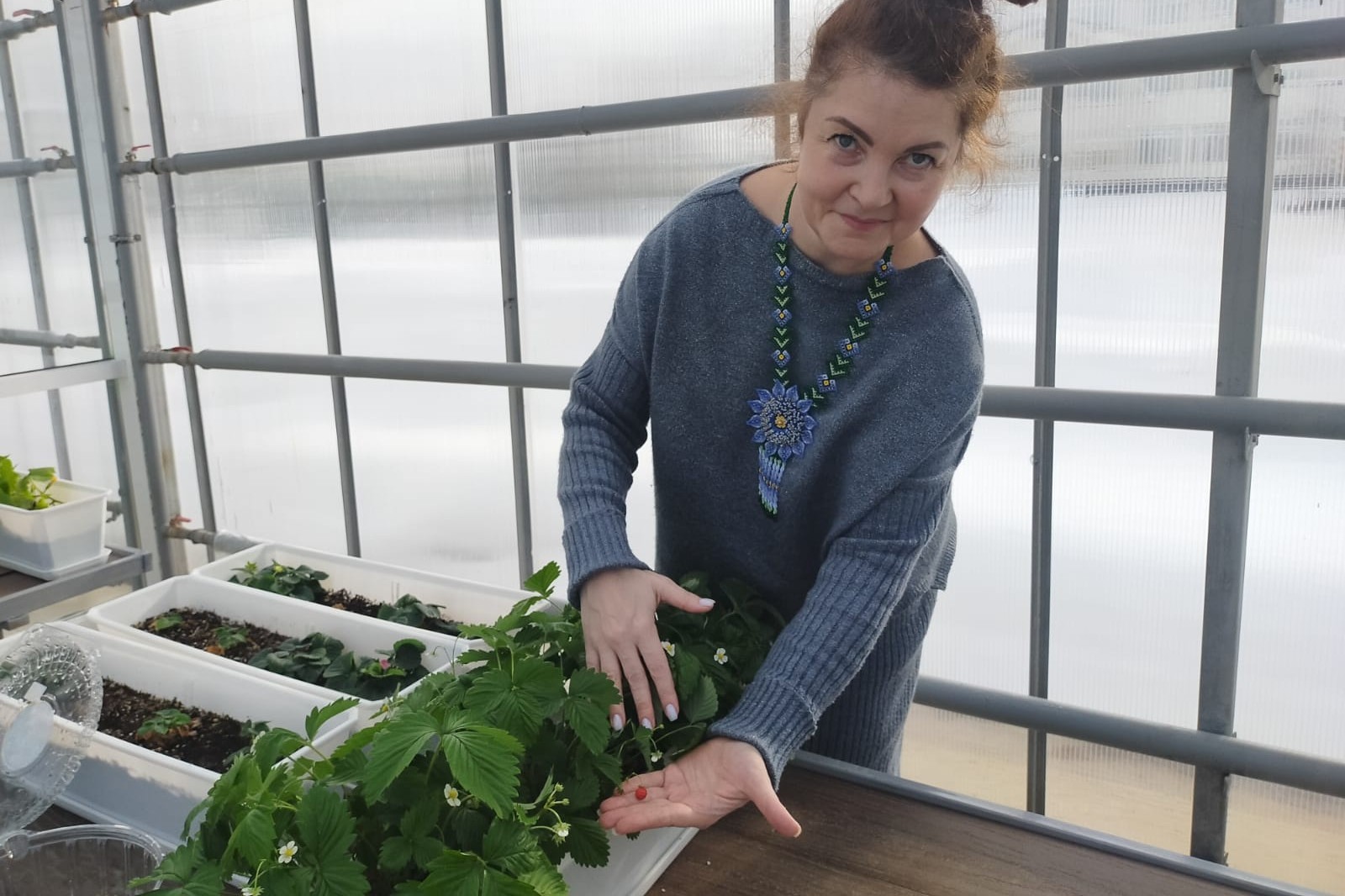 ������-����� �� ��������� ������� ������� ������� ����������� 6 '�' ������ ��� ����� ���������