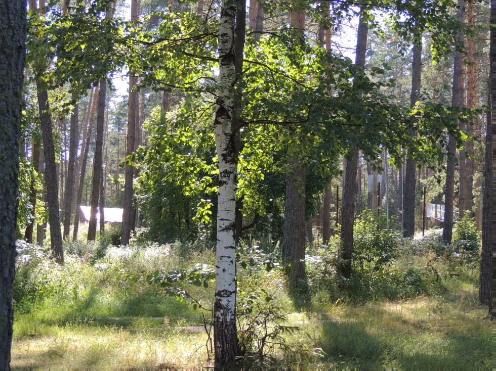 ������-��������������� ����� '������'