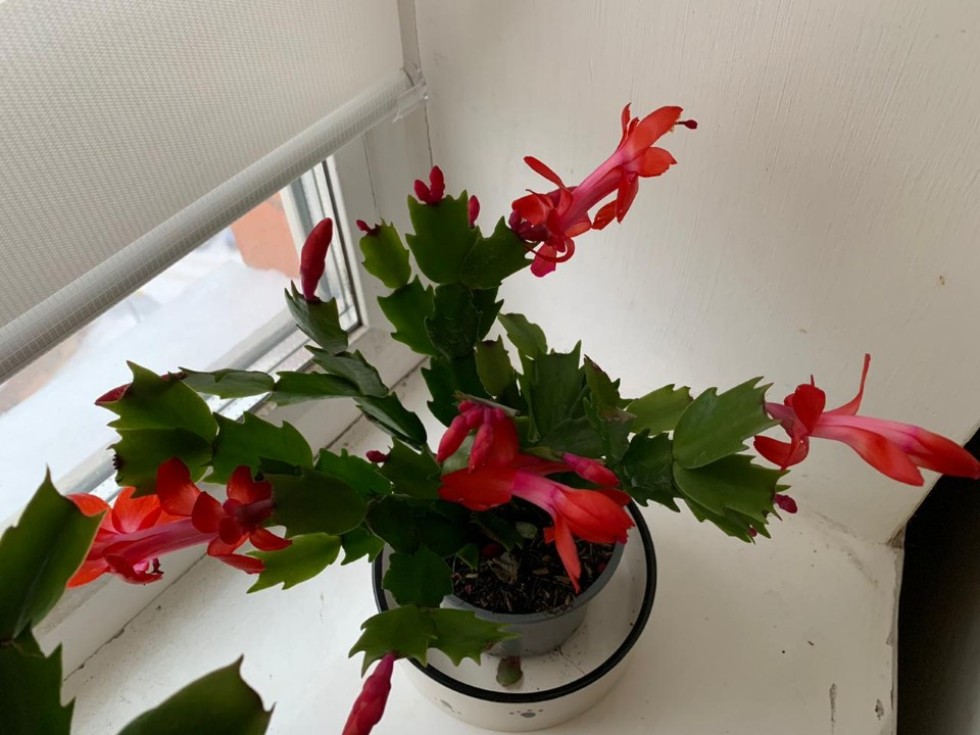 ���� ���������: '����� ? ��� �����, ������� ������� ������'