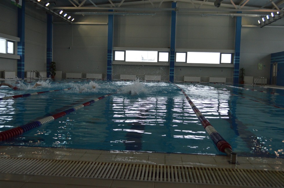 � �������� ���� - �������� ���