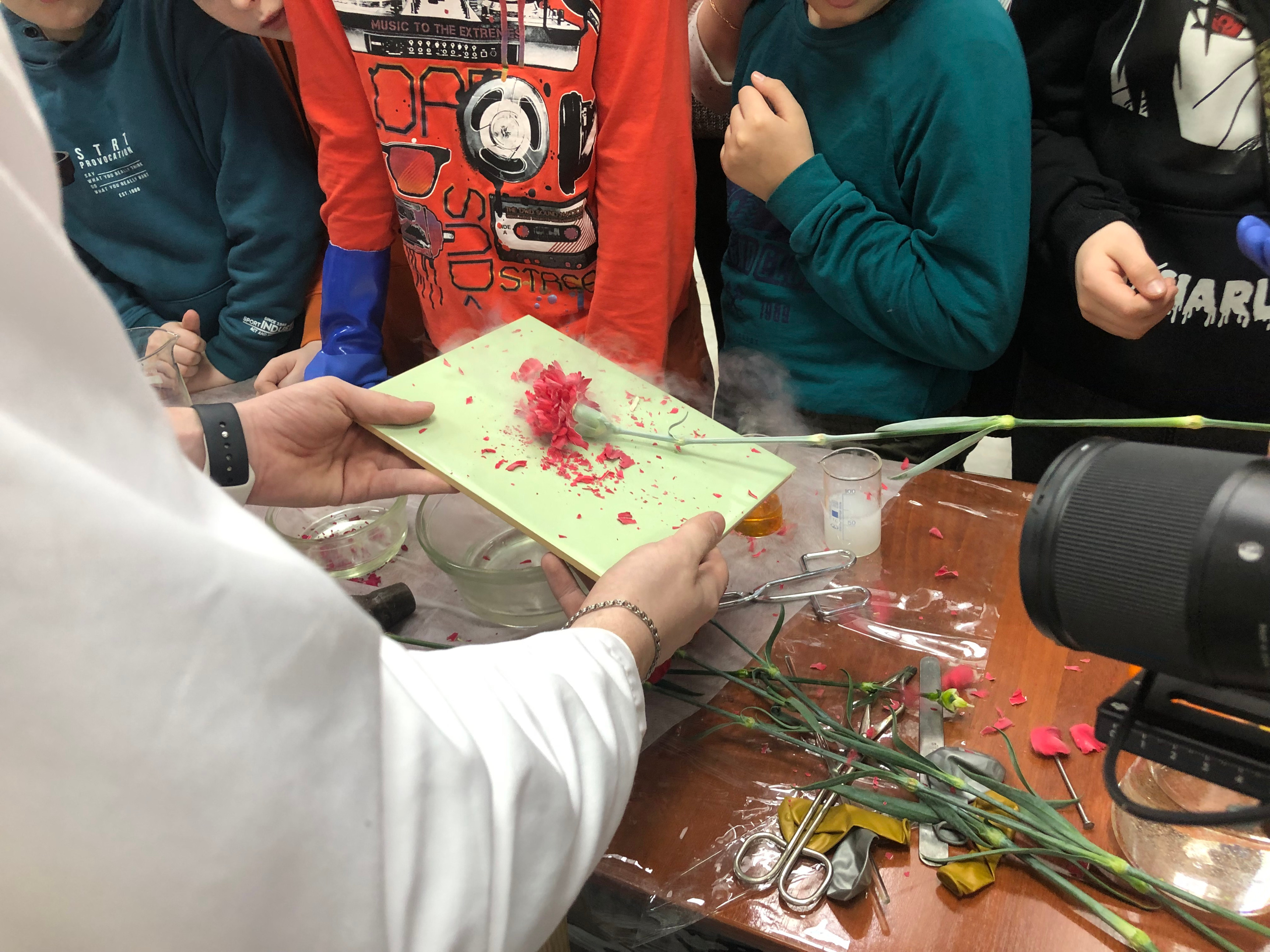 �������� ������� ����������� ����������� � ��������� ����� 'PRO����� � ���: �������� ����'