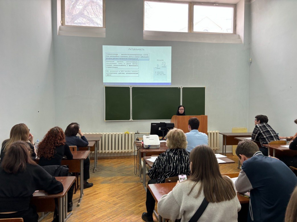 ���� ����� 2024