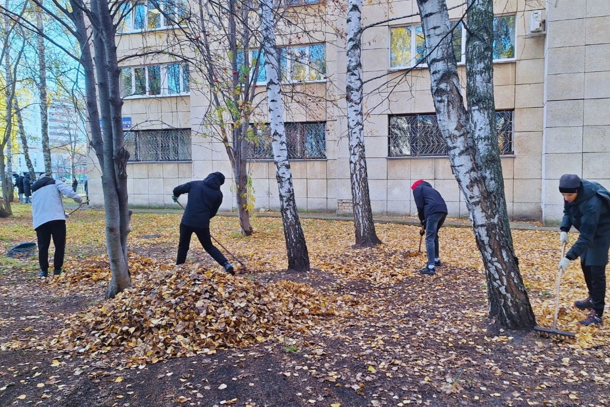 ���� ����� �� ������!