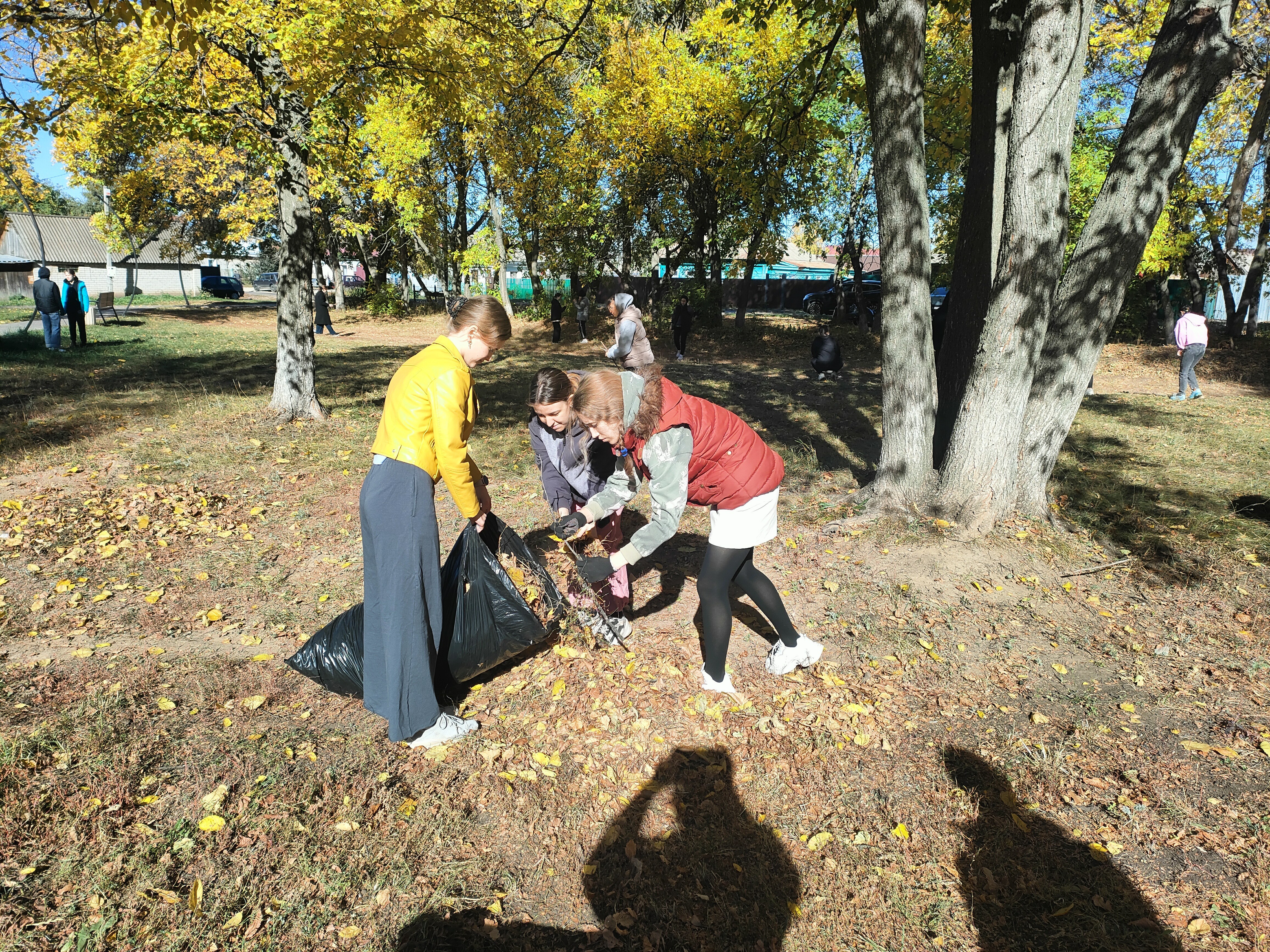 2 ������� ������ '���������' �� ���������� ���������������� �����