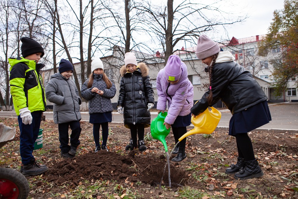 �� ���������� '���������������' ����� �� ��� �������� ������� �������