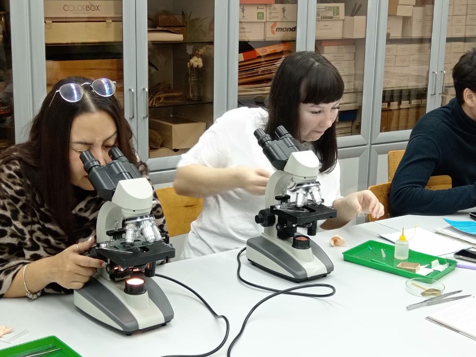 ������������� ��������� �� ��������: ������ ������ � ������������ ��� ���������� � ������������� ����