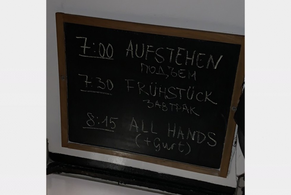 Распорядок дня Студентка кафедры зоологии и общей биологии покоряет Балтийское море