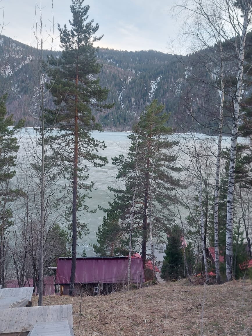 ��������� ���������� ����������� ������� ���