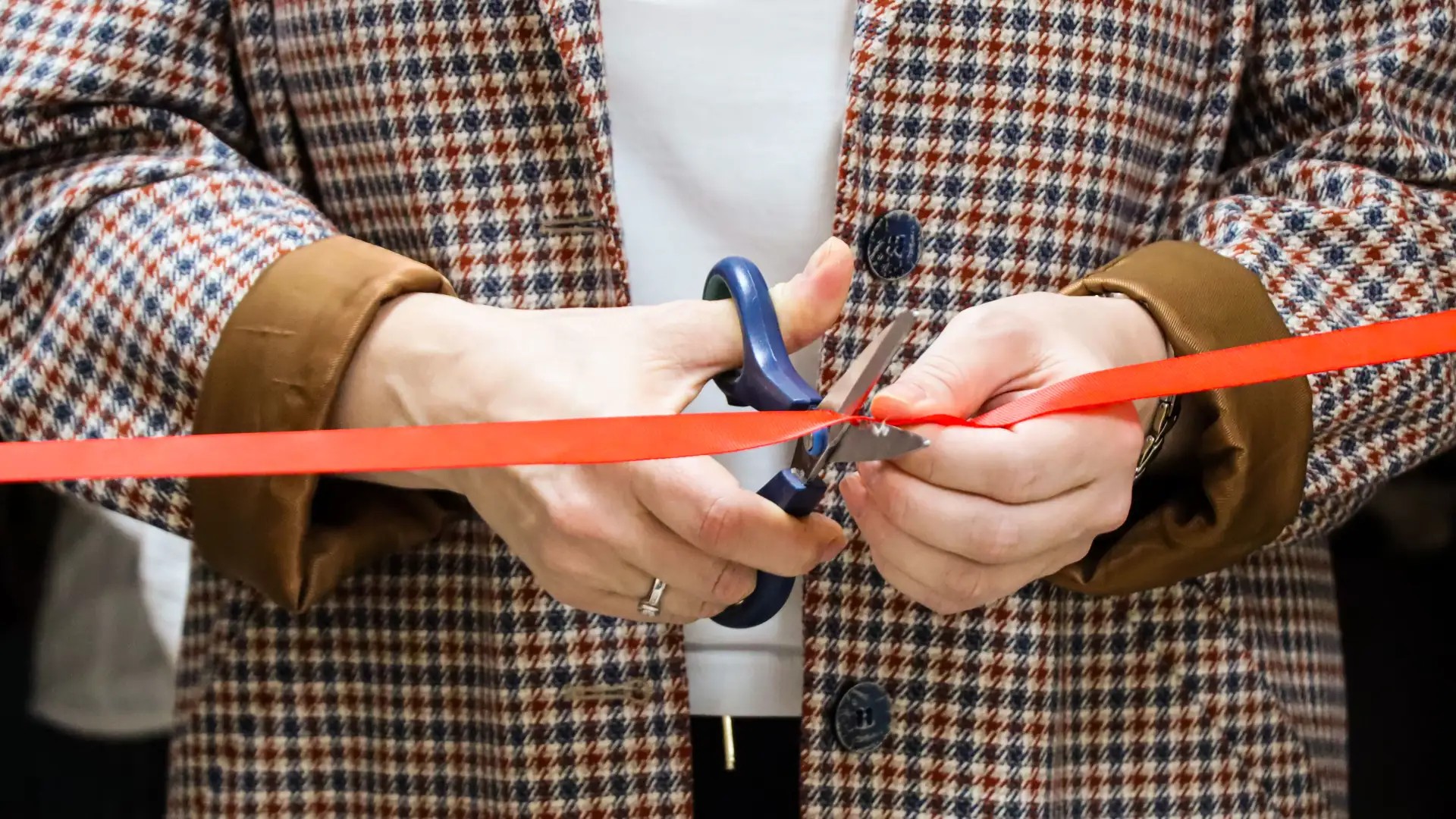 � ��������� ���������-����������� ���� � �������� ������������ ���������� �������� ���-������������  ,���-������������ '� ������ �������� ������', ������������, �������