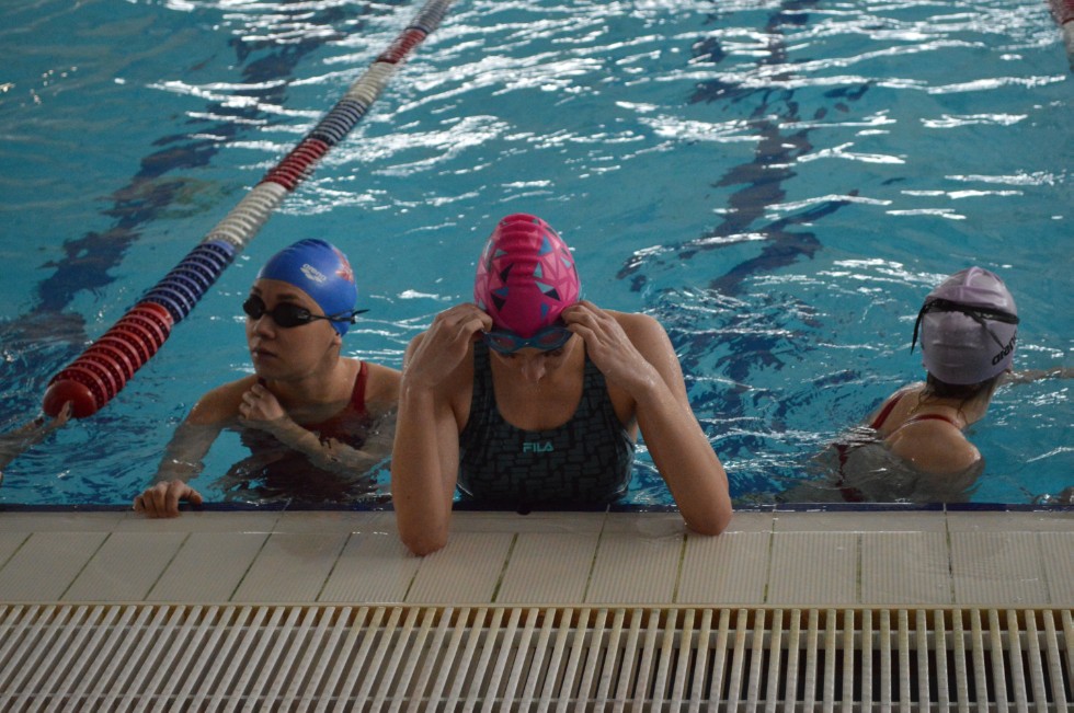 � �������� ���� - �������� ���