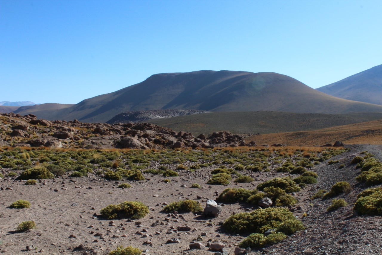 ������ ��� ����� ��������� � ��������� ������� �������