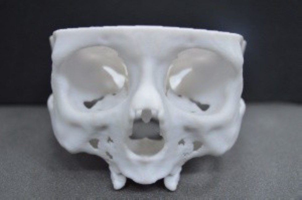 ������������ ,additive manufacturing, 3d print, biomedical engineering