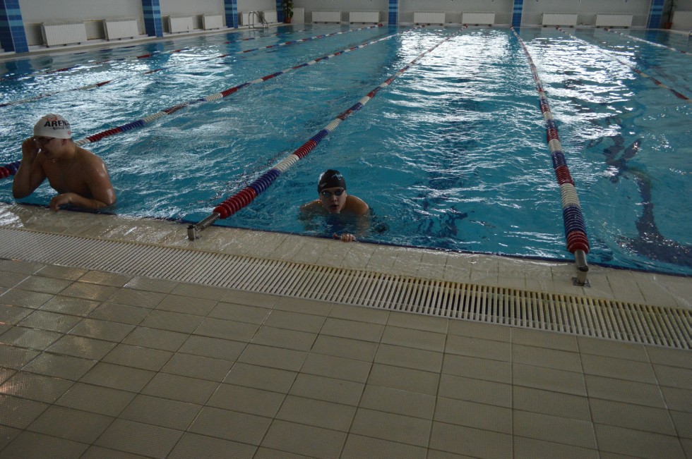 � �������� ���� - �������� ���