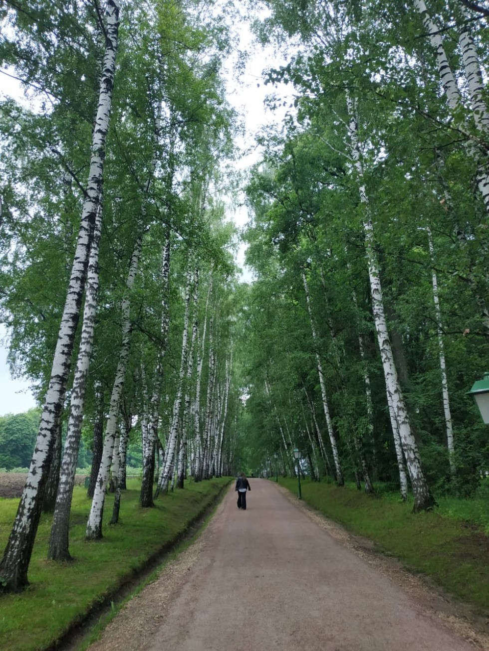 10 июня 2021 года музей-усадьба Л. Н. Толстого 'Ясная Поляна' отпраздновал столетие со дня основания 10 июня 2021 года музей-усадьба Л. Н. Толстого 'Ясная Поляна' отпраздновал столетие со дня основания