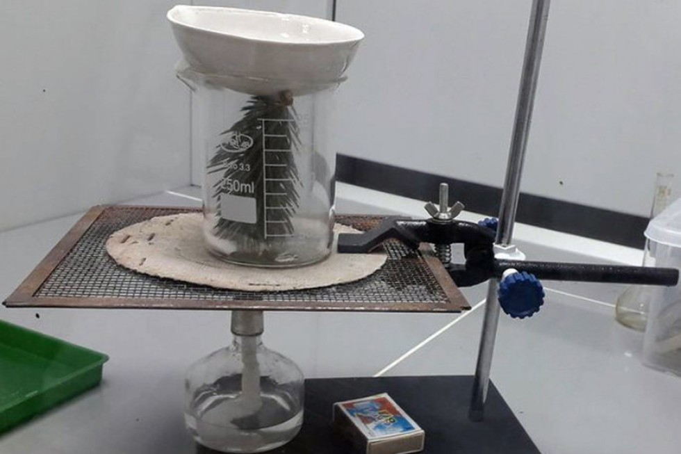 '����� ���������' � ���������� XXIII ��������� �����