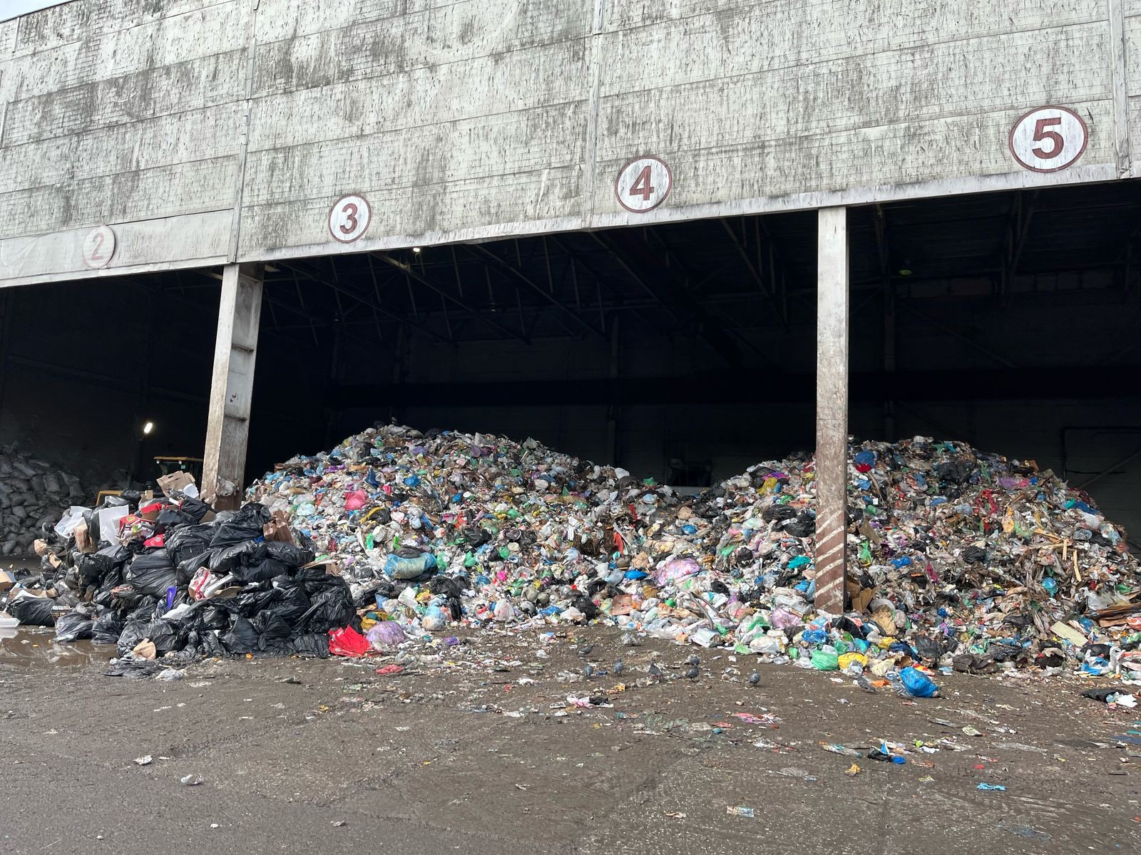 Возврат мусора в полезный оборот - спасение планеты Возврат мусора в полезный оборот - спасение планеты