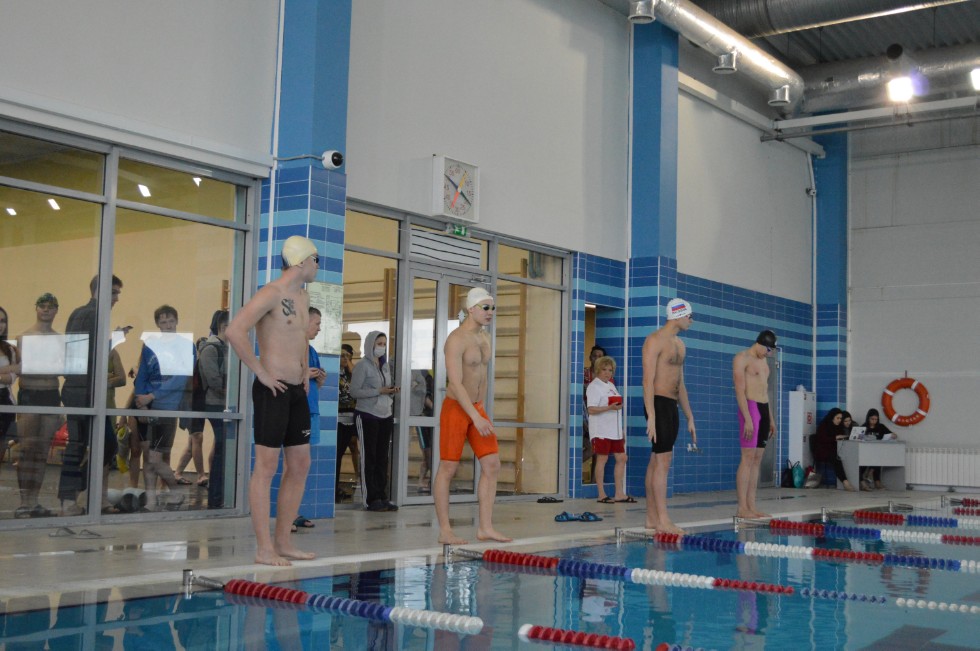 � �������� ���� - �������� ���