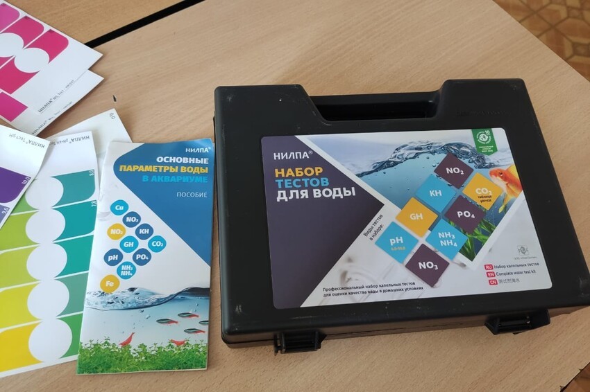 В Елабужском институте КФУ прошли курсы повышения квалификации для учителей биологии и химии В Елабужском институте КФУ прошли курсы повышения квалификации для учителей биологии и химии