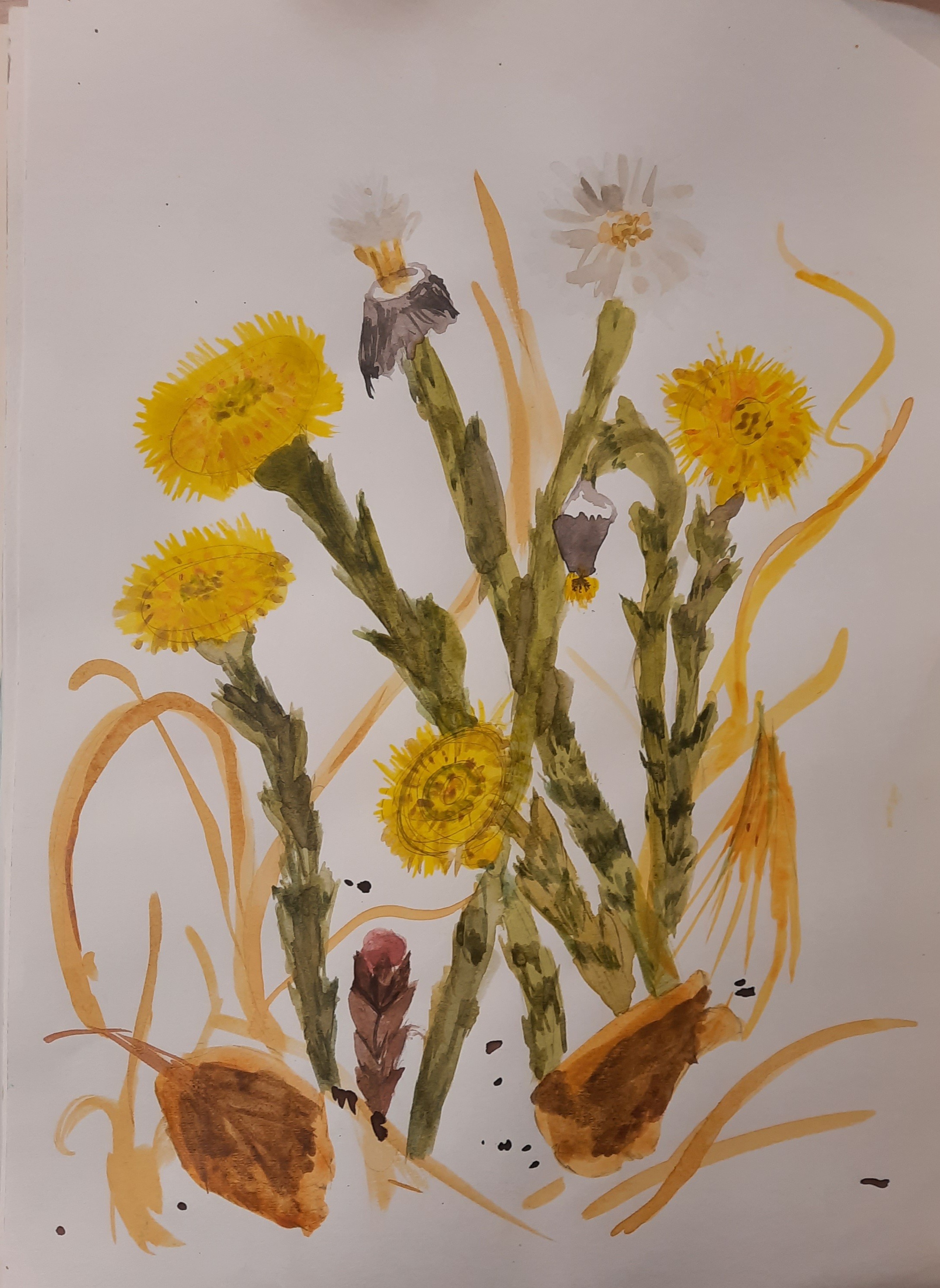 Итоги 1-го отборочного тура V-го республиканского конкурса детского рисунка в стиле ботанической живописи 'Калипсо' Итоги 1-го отборочного тура V-го республиканского конкурса детского рисунка в стиле ботанической живописи 'Калипсо'