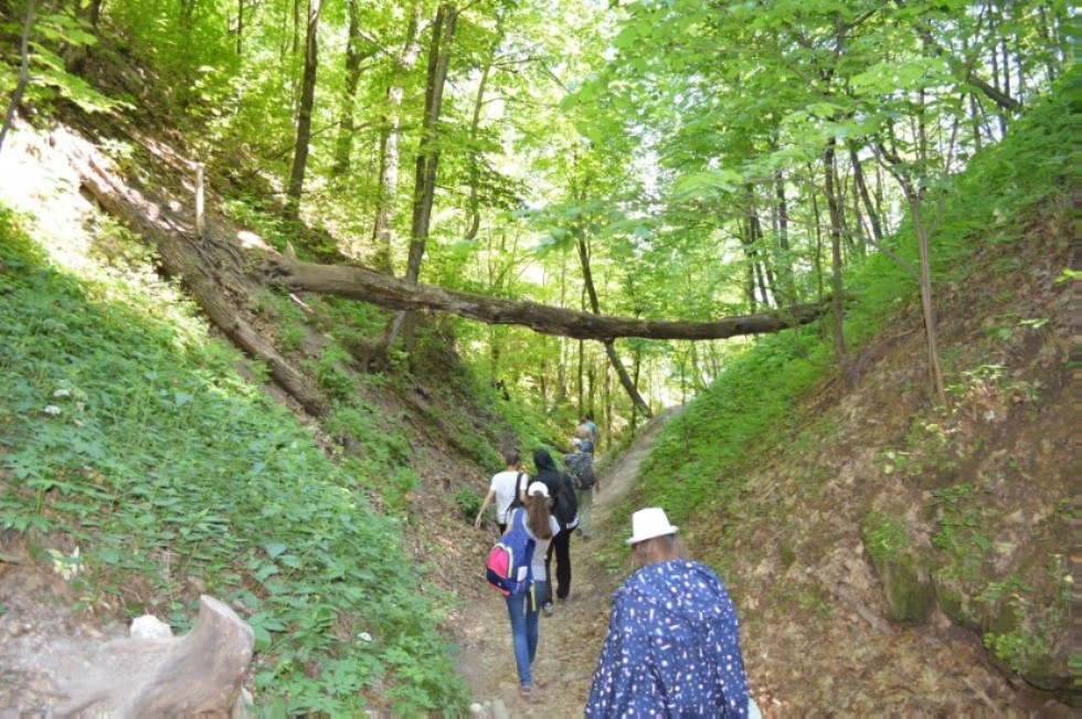 ������ - '����������' (2018�.)