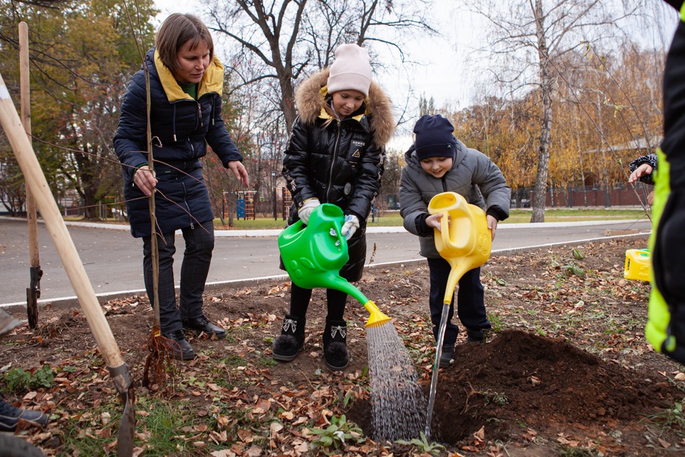 �� ���������� '���������������' ����� �� ��� �������� ������� �������