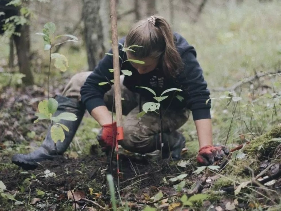 ������������ ��������� ����� '������� ������' ��������� ������� ��������� ���������� � ������� �� ����������� ������� �������