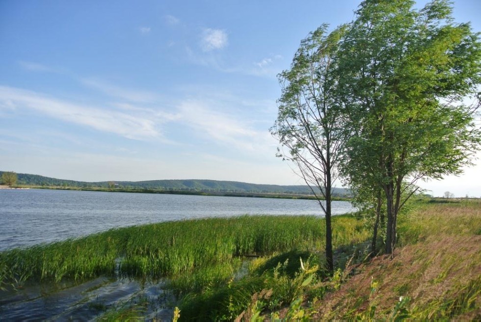 ��������� �������� ������������� �������� '�������� ��������'