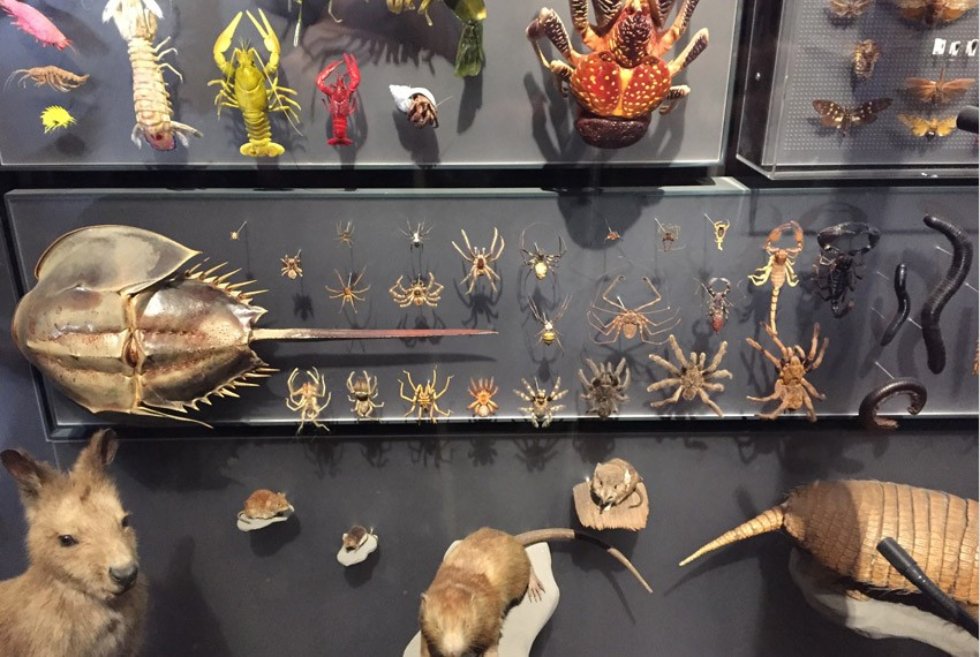 ������� ���������� � ��������� �������� ����������� �������� ����������� ������������