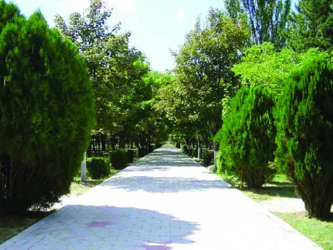 ���������� �� ���� �� ������������ ������ ��������� ���� � ������ ����� �� �������� ��