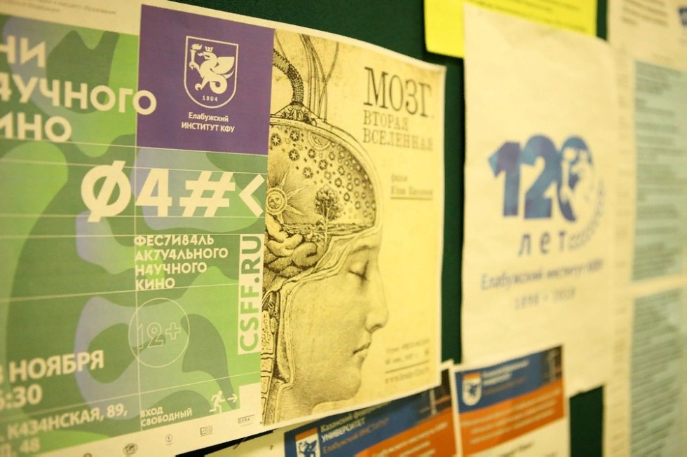 ����������� - ������������ ������������ ���������