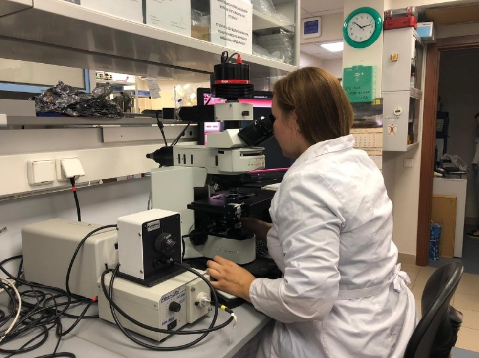 Hair surface engineering to be advanced by nano vehicles Hair surface engineering to be advanced by nano vehicles