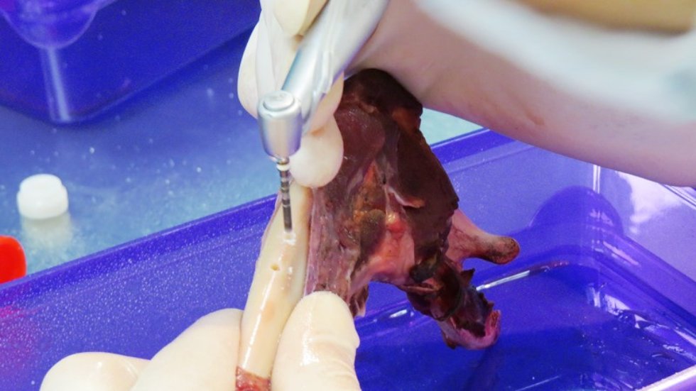 ��������� ������������