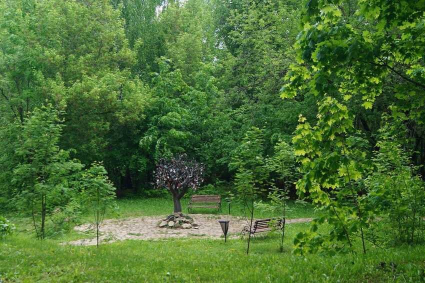 Ученые Елабужского института Казанского федерального университета стали победителями конкурса 'Энергия добра' компании 'Татнефть' Ученые Елабужского института Казанского федерального университета стали победителями конкурса 'Энергия добра' компании 'Татнефть'