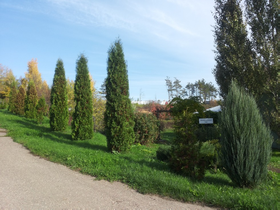 ���������� ��������