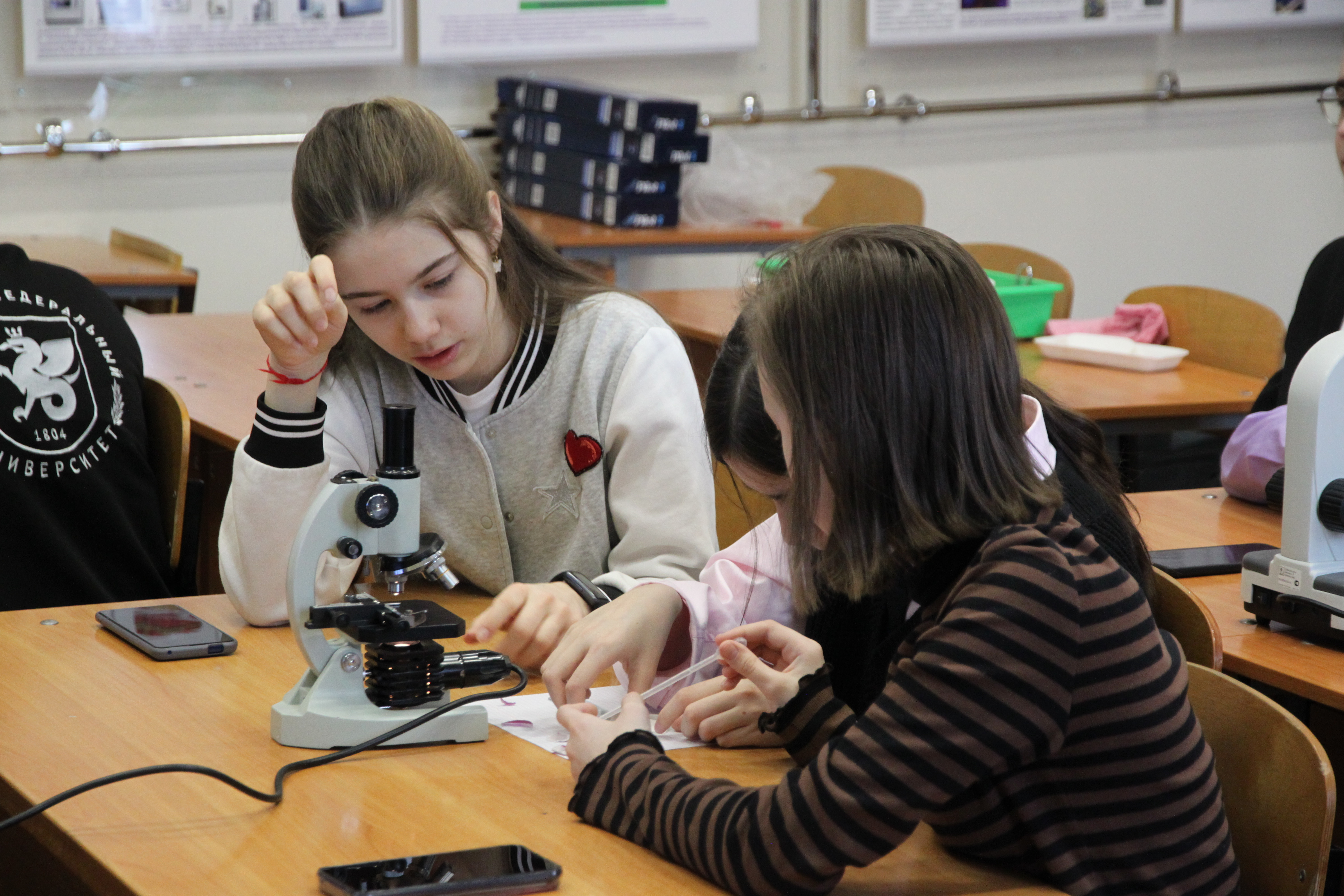 ���� ����� � ����� ����� �.�. ������������ ��� ,2022-2023 ������� ���, �����������, ��������