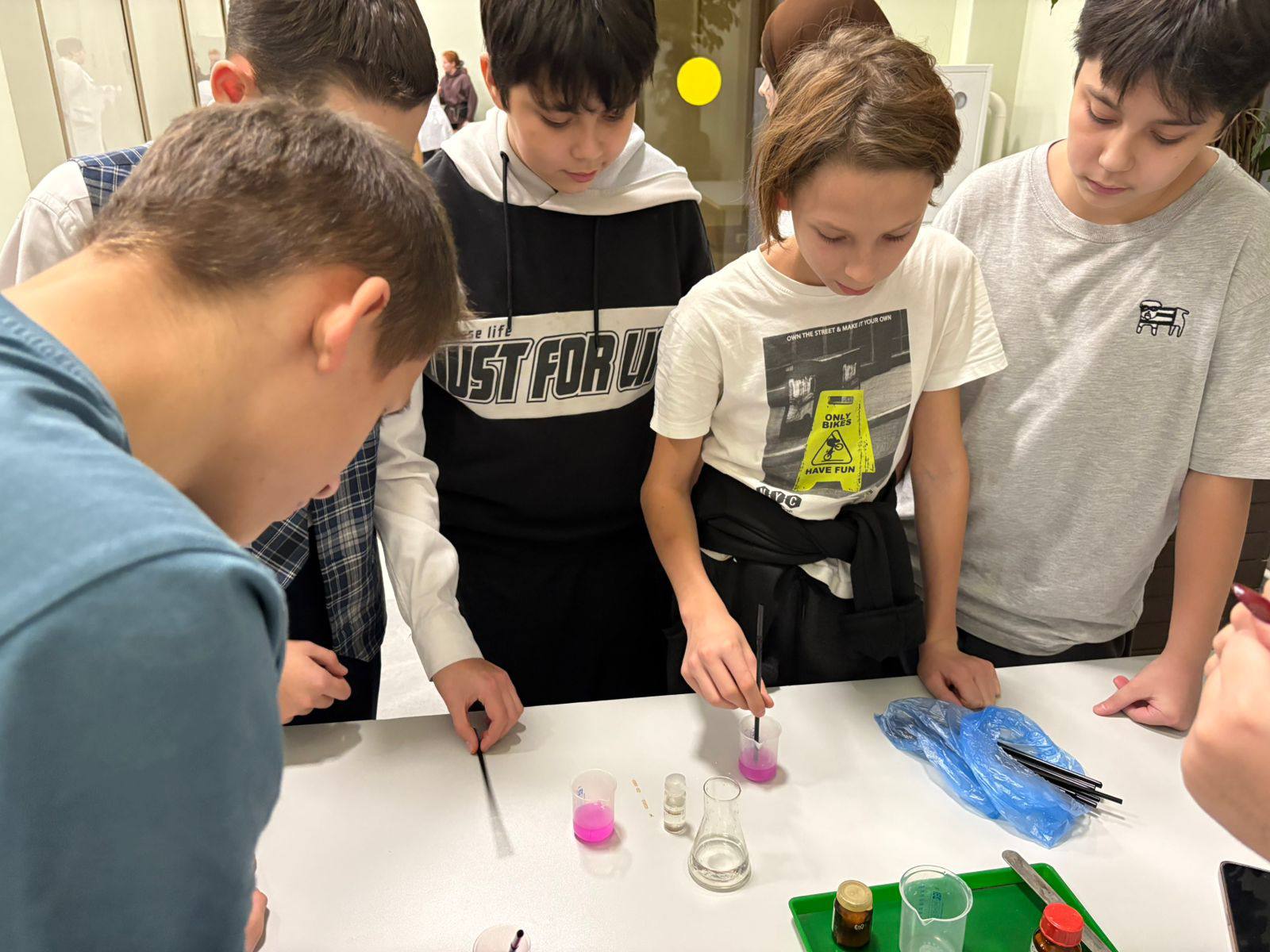 XXXI ��������� ����� (������� ������-������������ ���������� ���������) �� ������� ����������� �����������