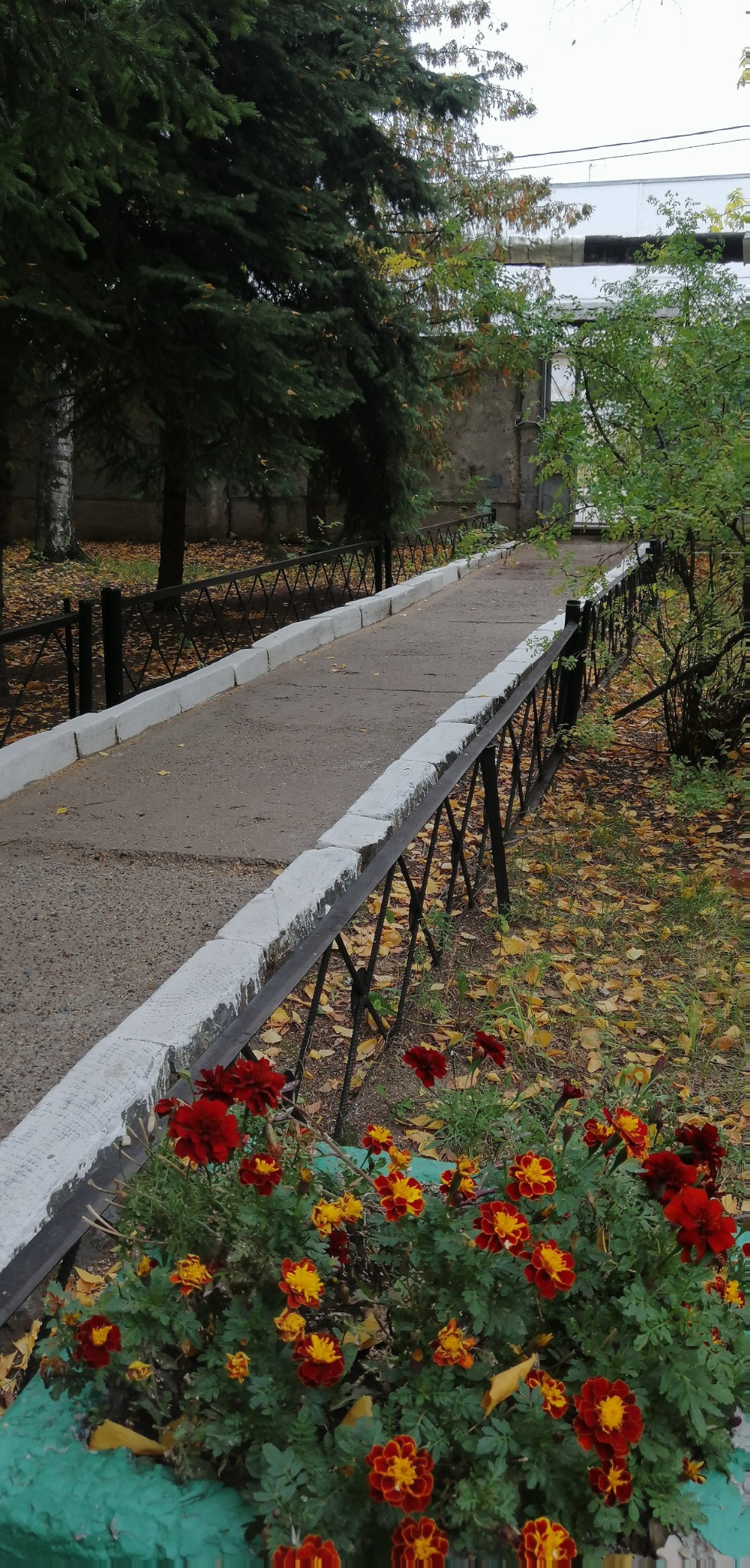 �����������