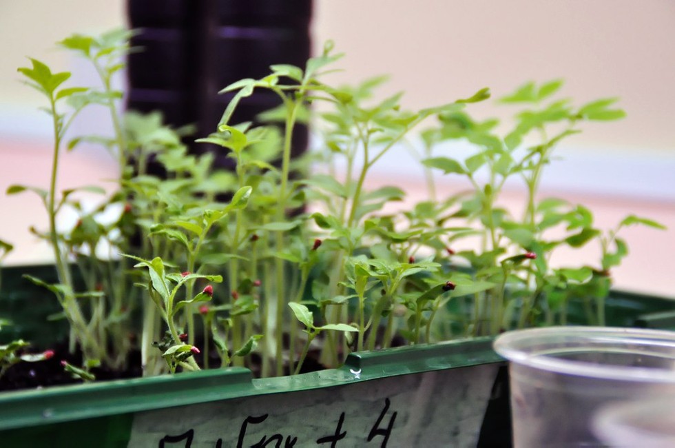 Софинансирование Софинансирование